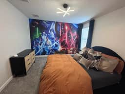 Disney StarWars Luxury themed home resort gameroom pool dw3 - Image 2