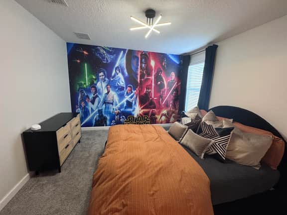 Disney StarWars Luxury themed home resort gameroom pool dw3 - Image 2